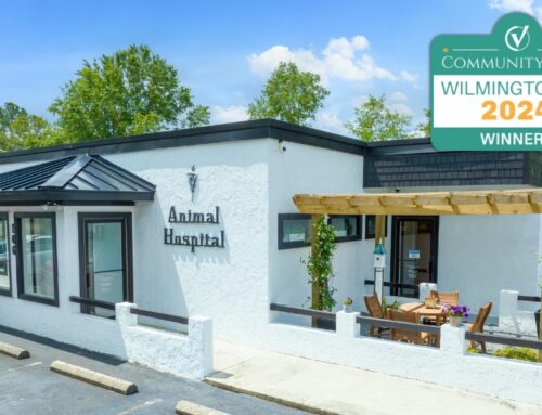 Pine Valley Animal Hospital Honored as Wilmington’s Best Vet Clinic